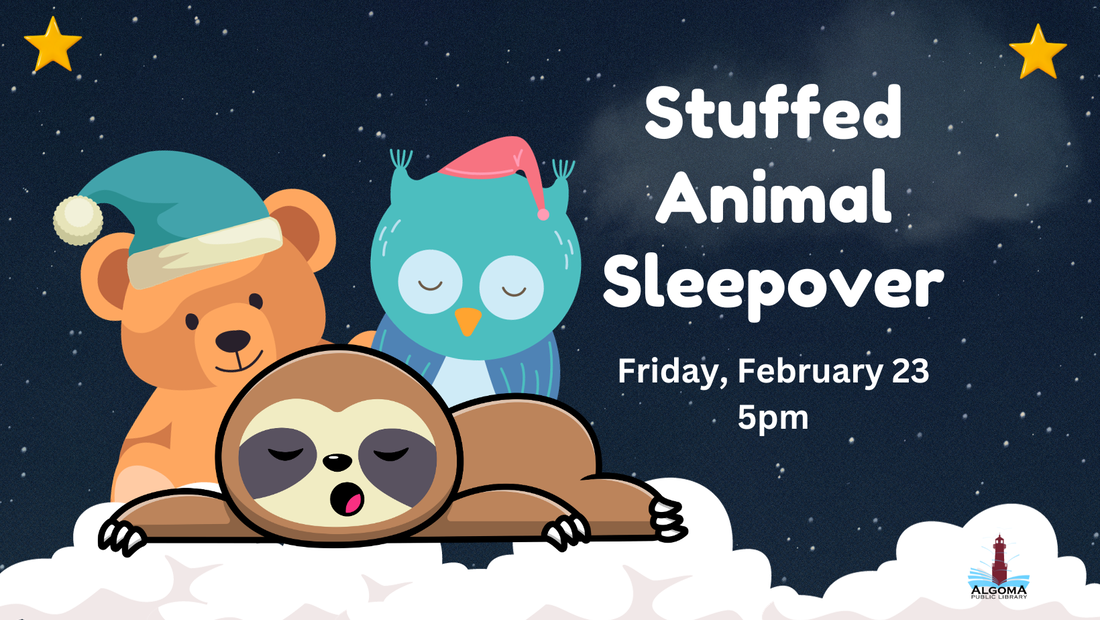 Stuffed Animal Sleepover Friday, February 23rd at 5pm