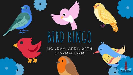 Bird Bingo. Monday, April 24th from 3:15-4:15pm